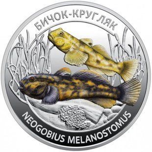 5 гривень (Мешканці морських глибин - Азовське Море. Бичок-кругляк)