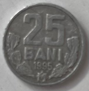 25 бані (Молдова) 1995р.