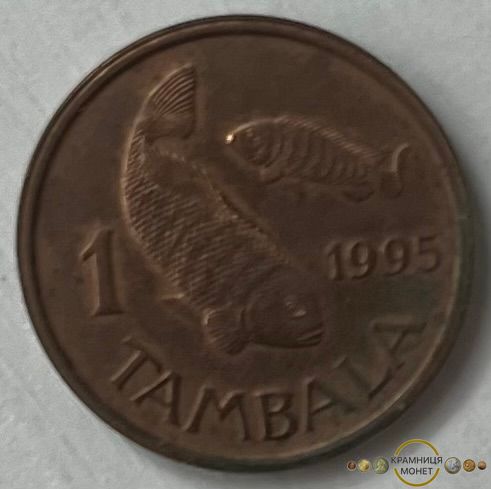 1 тамбала (Малаві) 1995р.